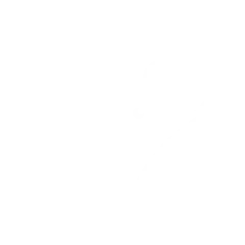 barrito logo 2026