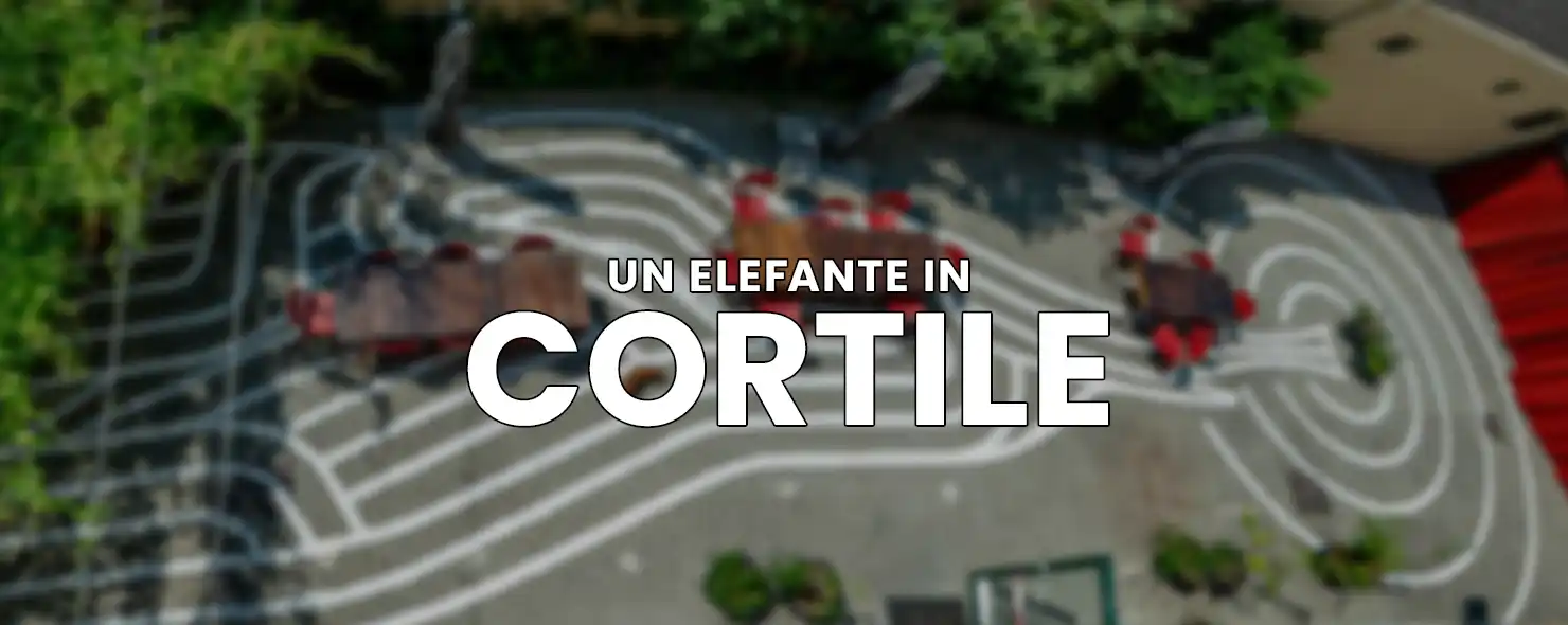 Un elefante in cortile